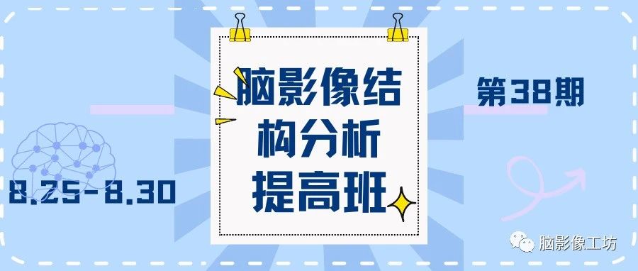 第38期：磁共振脑影像结构分析提高班(8.25-8.30)