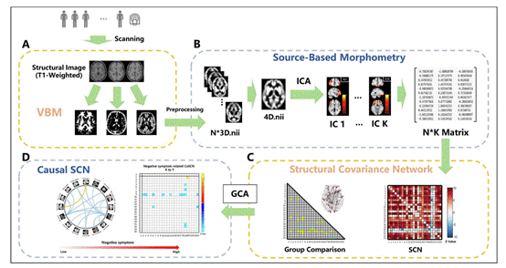 脑结构网络分析系统