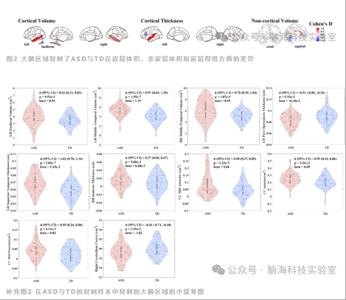 自闭症幼儿区域大脑结构的差异与未来的语言结果有关