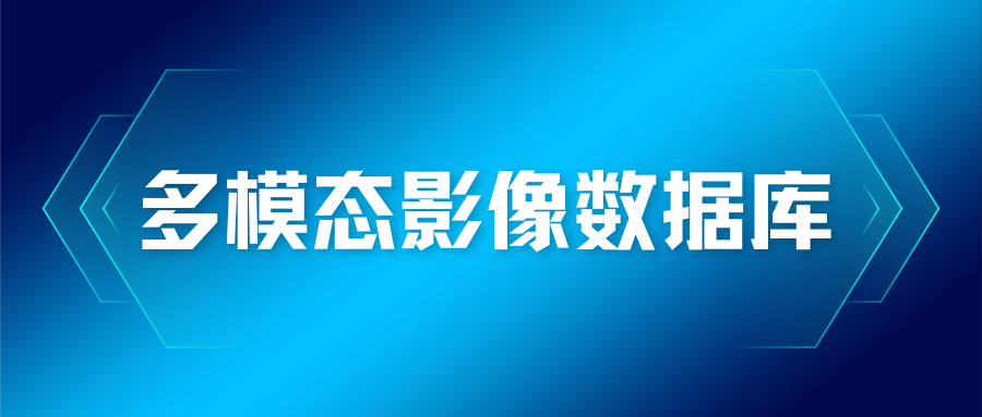 规范化管理脑影像数据：从混乱到体系的全流程数据库解决方案