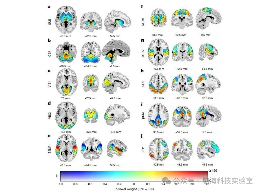 Nature Mental Health：研究人员发现了使用 fMRI 扫描识别精神障碍特征的新方法