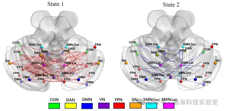 CNS Neurosci. Ther.：男性阻塞性睡眠呼吸暂停患者小脑网络的动态功能连接异常及其拓扑特性变化