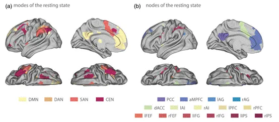 Human Brain Mapping：静息态功能磁共振成像的回归动态因果建模