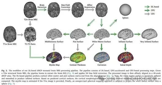 Med Image Anal：新方法！dHCP:一种基于深度学习的快速新生儿皮层表面重建流程