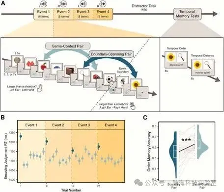 Neuron：新发现！科学家揭示大脑中一个微小区域如何帮助我们形成不同的记忆