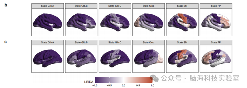 Nat. Commun.：新生儿大脑的“动态连接”模式：早产儿与足月儿的差异及其对早期发育的影响