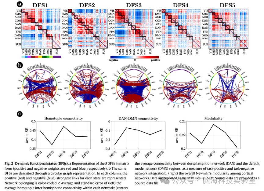 Nat Commun：中风后，大脑皮层与皮层下的动态连接被打破