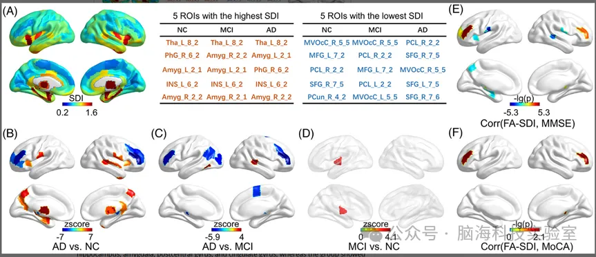 抑郁合集一 | 以往高分文献分析，揭示抑郁研究热点