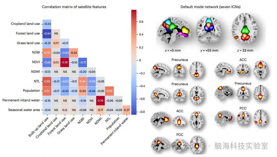 往期精彩|Nature子刊：卫星数据和神经影像学揭示了环境如何影响大脑发育