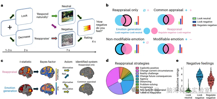 Nature子刊：一种利用贝叶斯因子解构情绪调节大脑基础的系统识别方法