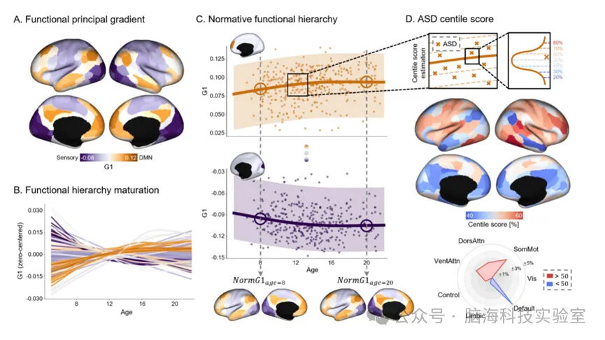 Molecular Autism：GAMLSS模型发现自闭症患者功能连接组层级发育轨迹