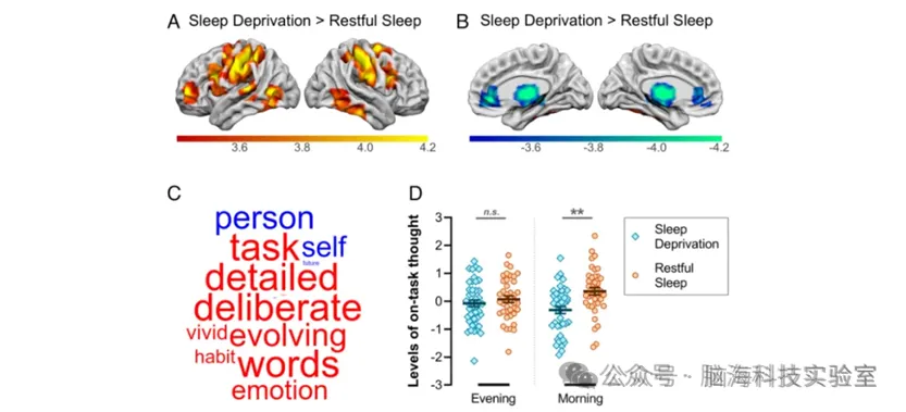 记忆合集 | 以往高分文献分析，揭示记忆研究热点