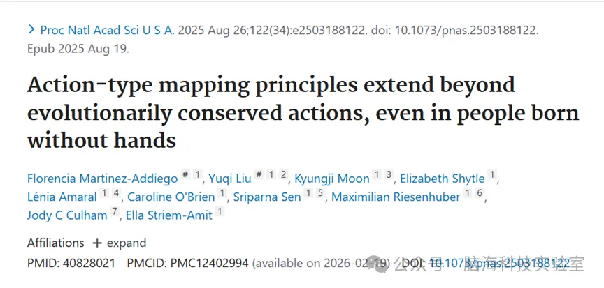 PNAS：人脑如何构建工具使用能力