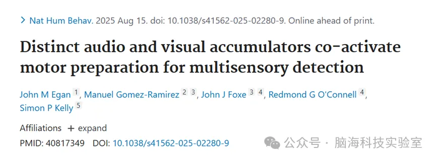 Nature 子刊：大脑整合视听信息以优化决策速度与认知功能