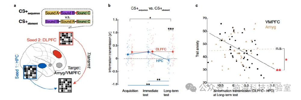 往期精彩|Nature子刊：新发现！创伤后大脑“过度害怕”的神经机制