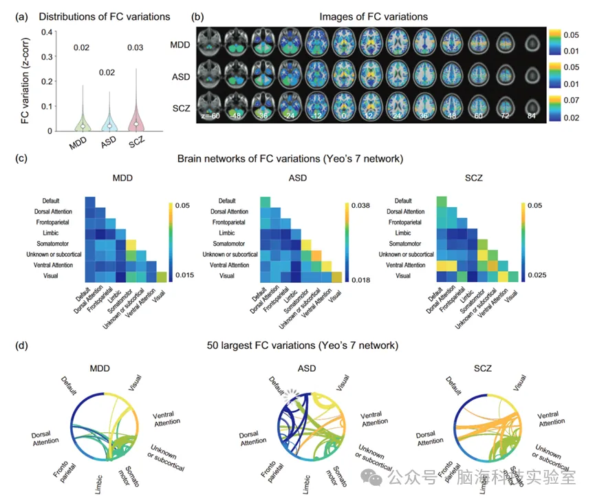 Mol. Psychiatry：多中心静息态功能磁共振成像连接变化曲线揭示的神经影像学生物标志物的计算机制