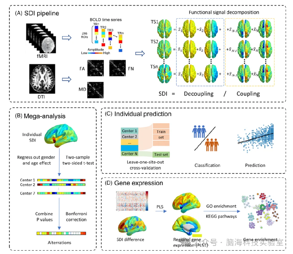 往期精彩|Alzheimer’s Dement：结构-功能耦合揭示阿尔茨海默病中大脑层级结构功能障碍：一项多中心研究