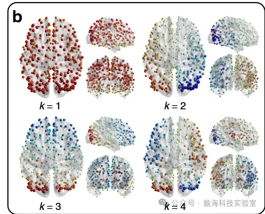 往期精彩|Nat Commun：大脑功能与结构的解耦揭示了人类大脑的区域行为专门化