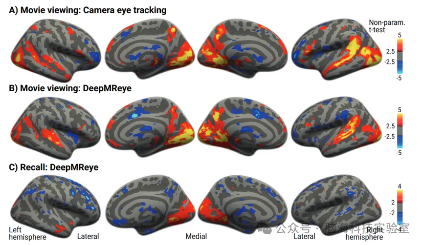 Nature Communications：神经和行为的再现共同反映了叙事事件的提取