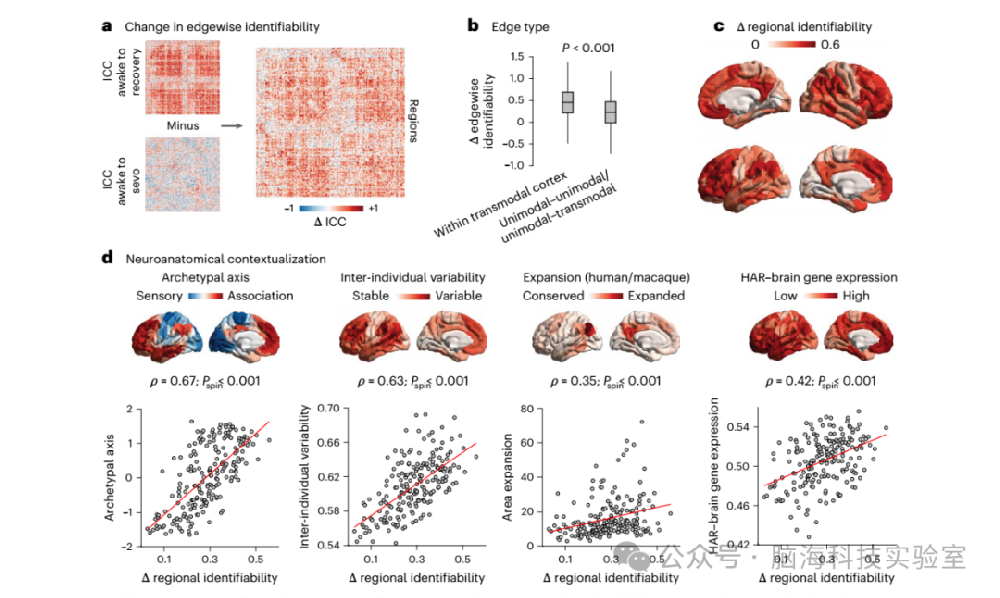 往期精彩|Nat. Hum. Behav:全身麻醉降低人脑功能连接独特性