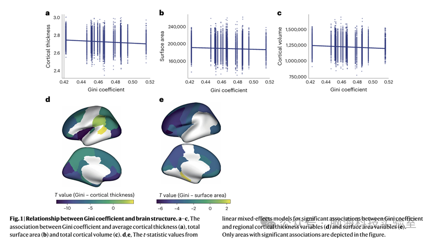 Nature子刊：宏观经济收入不平等、大脑结构和功能以及心理健康