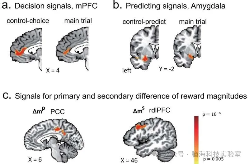 往期精彩|J. Neurosci.：人类决策时对他人期望的处理大脑机制