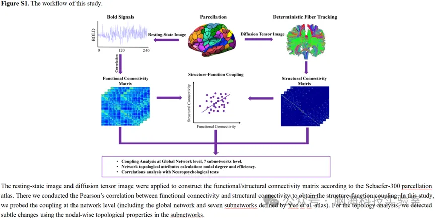 Alzheimers Res Ther:计算机化认知训练对轻度认知障碍患者大脑网络结构、功能耦合和布局的影响：一项随机对照试验