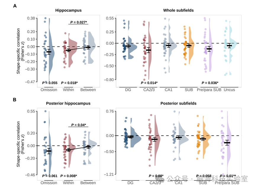 往期精彩|Science advances :海马体信号研究揭示大脑如何预测即将看到的事物