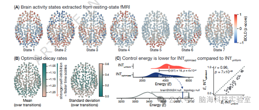 Nature子刊:fMRI揭示为什么有些人的大脑比其他人更灵活?
