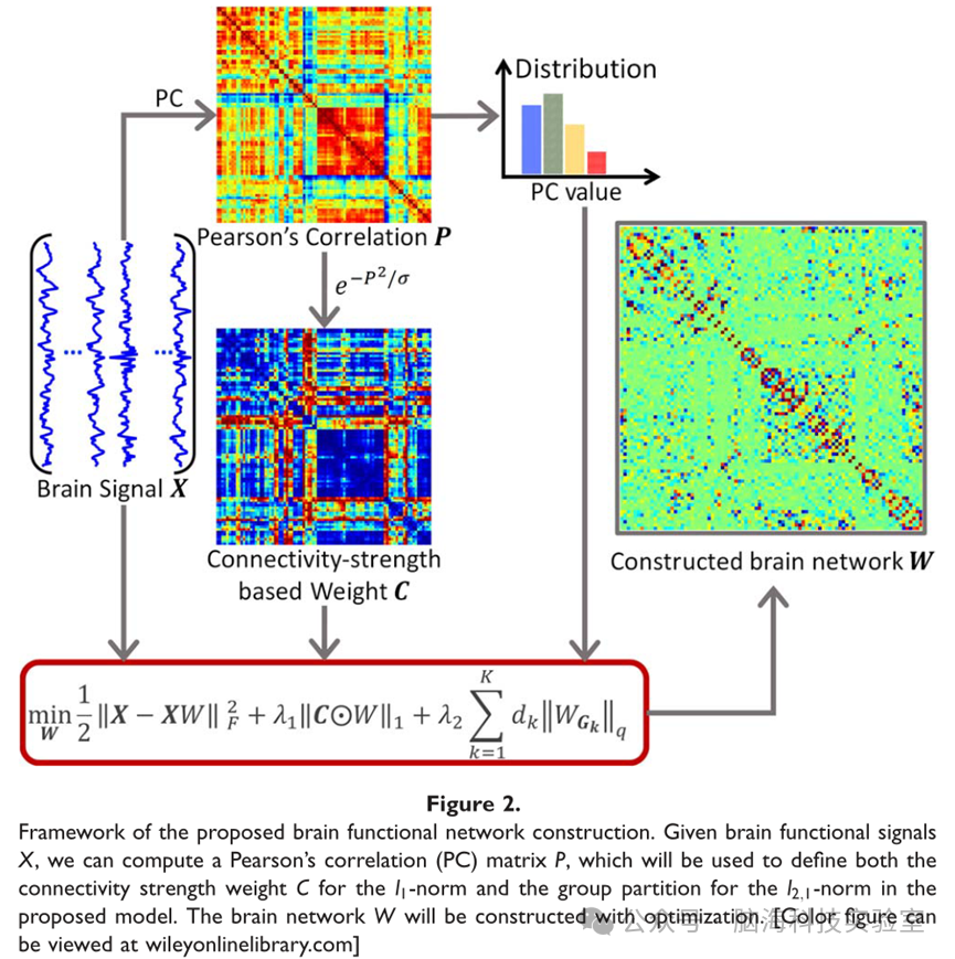 往期精彩|Hum Brain Mapp：基于连接强度加权稀疏群表示的脑网络构建新方法可用于轻度认知障碍分类
