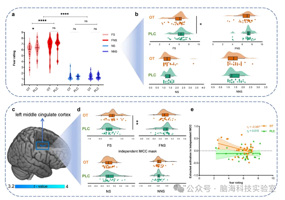 Advanced Science：AI大脑模型揭示恐惧在现实中如何运作