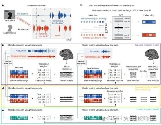 往期精彩|Nat. Hum. Behav.：神经计算研究揭示了大脑如何组织对话内容
