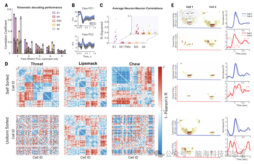 Science:面部表情藏着神经密码!