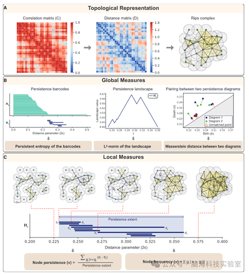Patterns：数学揭示自闭症与衰老过程中大脑连接性的动态变化