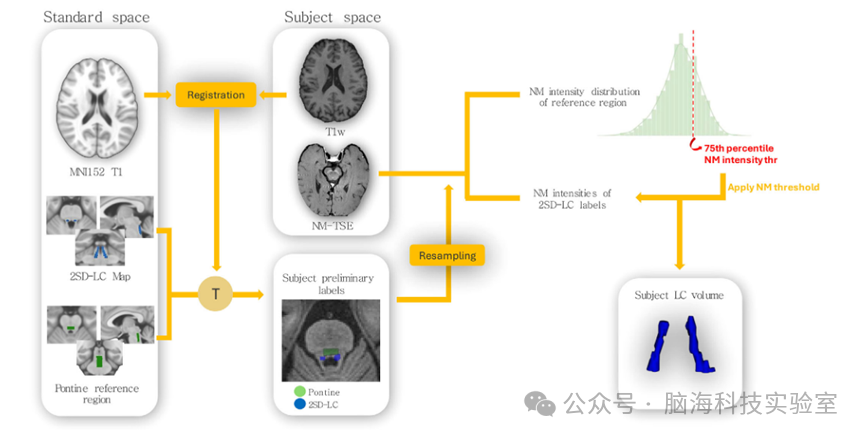 往期精彩|Alzheimer's & Dementia：早发性和迟发性阿尔茨海默病队列中的蓝斑完整性和神经精神症状