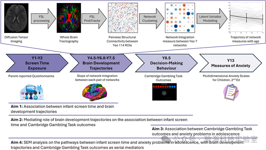 EBioMedicine：幼儿屏幕时间过长，直接改变大脑结构，青春期焦虑风险大增