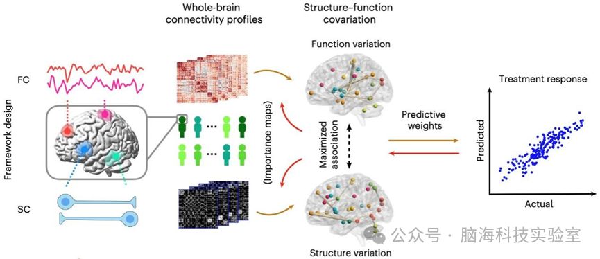 Nature子刊：机器学习解析抗抑郁药反应：药物还是安慰剂？