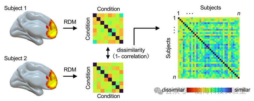 往期精彩|PNAS：乐观的人想象未来时脑活动高度一致
