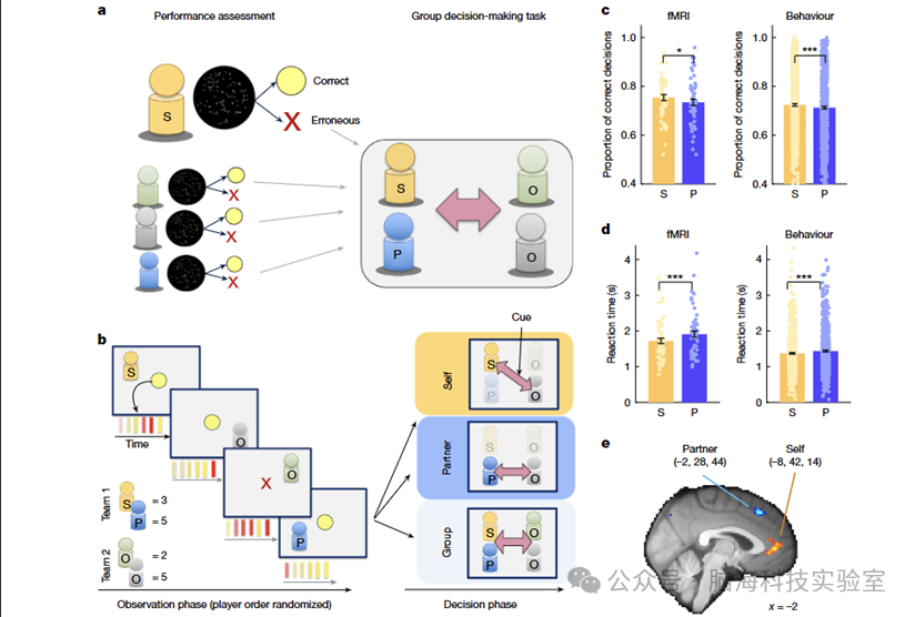 Nature:背侧额叶皮层复杂社会决策的基础功能