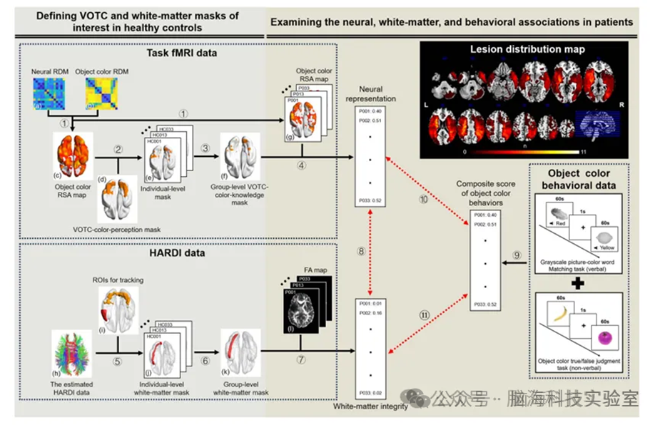 往期精彩|语言合集 | 以往高分文献分析，揭示语言研究热点