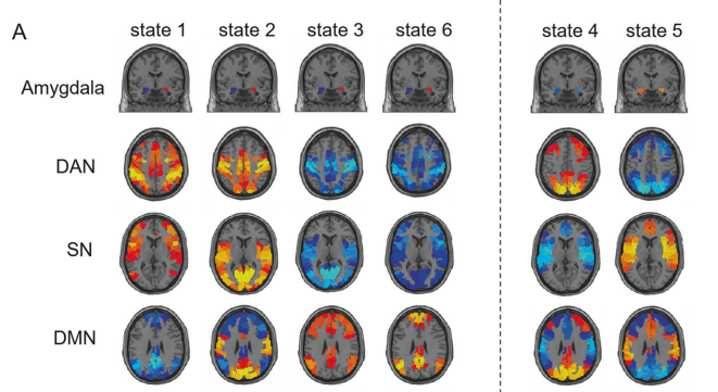 Molecular Psychiatry：催产素诱导的动态脑连接模式：一项功能磁共振成像共激活模式分析研究