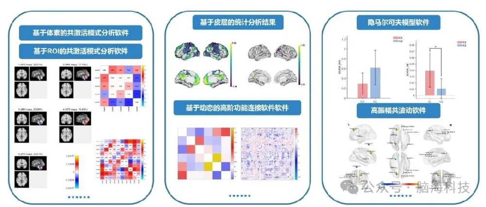 脑海科技产品 | 静息态功能磁共振数据分析解决方案（下）
